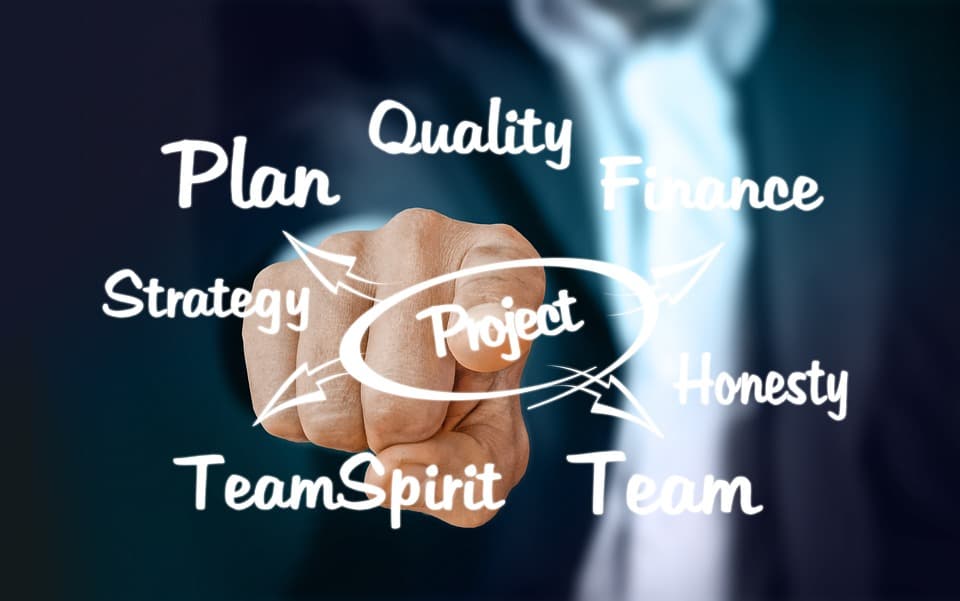 Advanced Project Management and Strategic Planning product